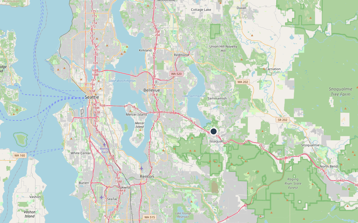 Map of our chimney service area across King County, WA