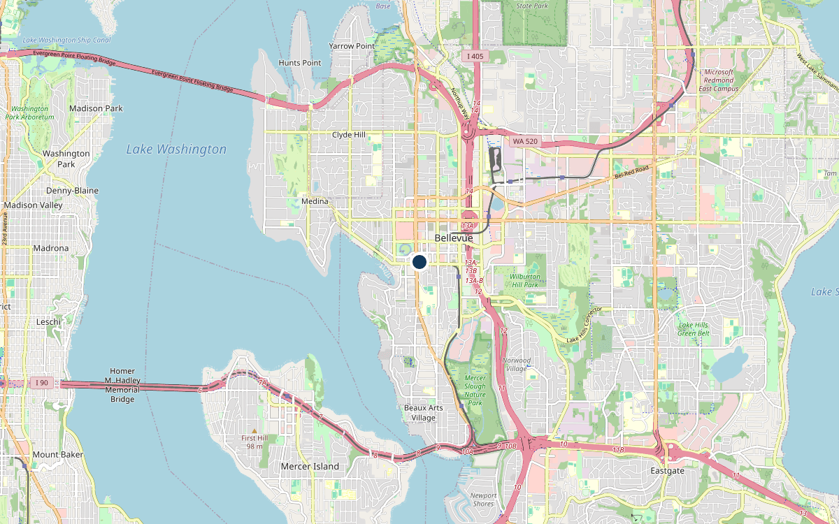 Map of our chimney service area in Bellevue, King County, WA