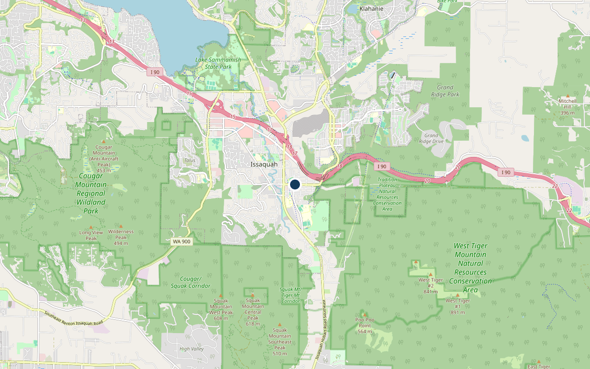 Map of our chimney service area in Issaquah, King County, WA